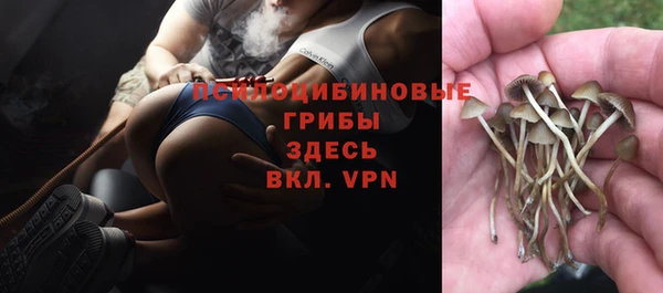 ECSTASY Арсеньев