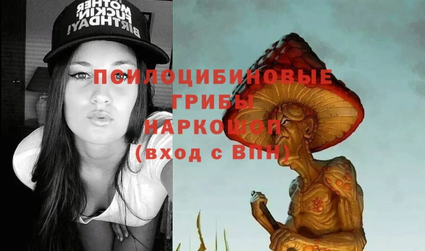 спиды Армянск